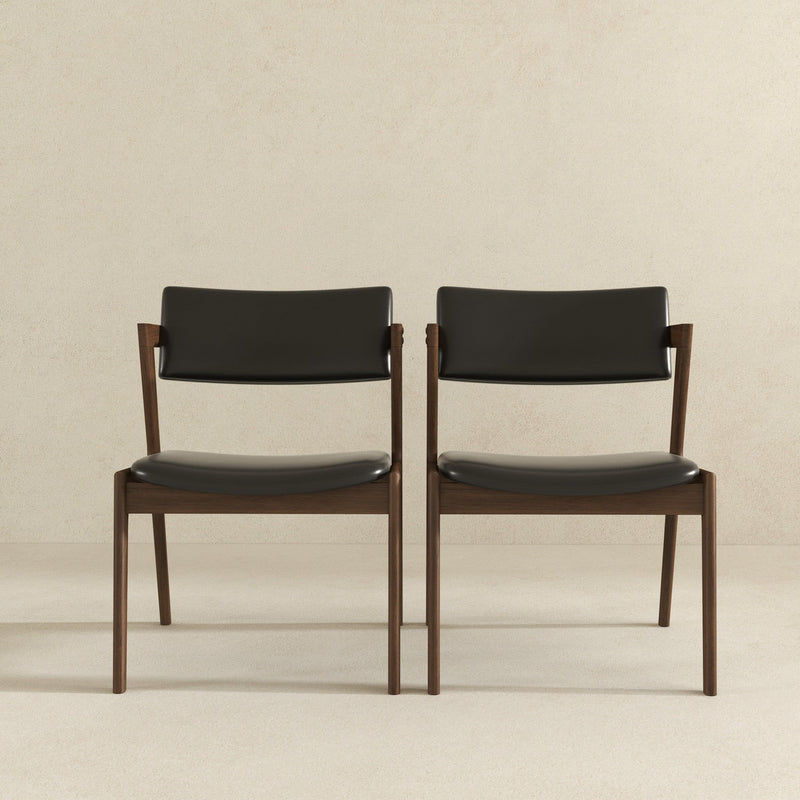 Edwin - Mid-Century Modern Dining Chair (Set of 2)