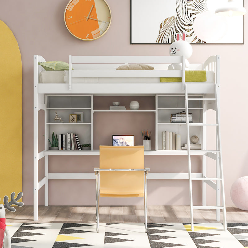 Twin size Loft Bed with Storage Shelves, Desk and Ladder, White(OLD SKU :LP000140KAA)