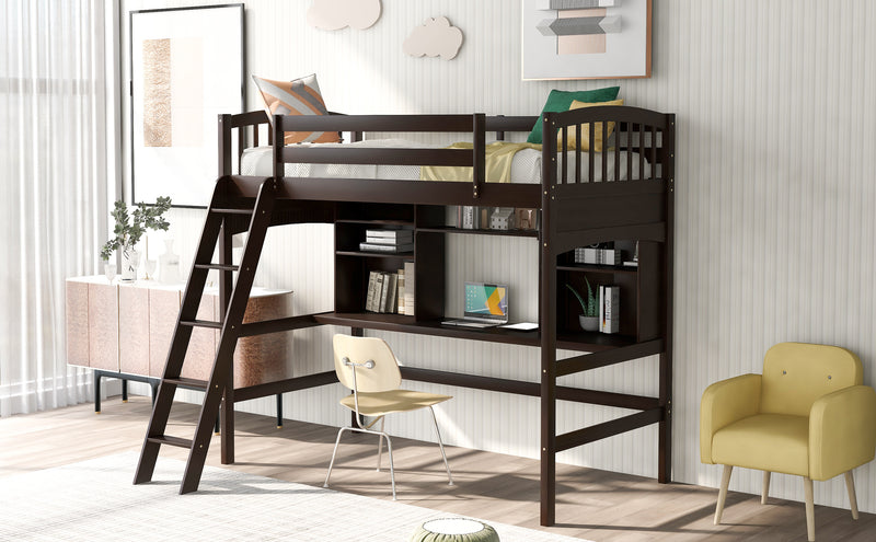 Twin size Loft Bed with Storage Shelves, Desk and Ladder, Espresso(OLD SKU :LP000140PAA)