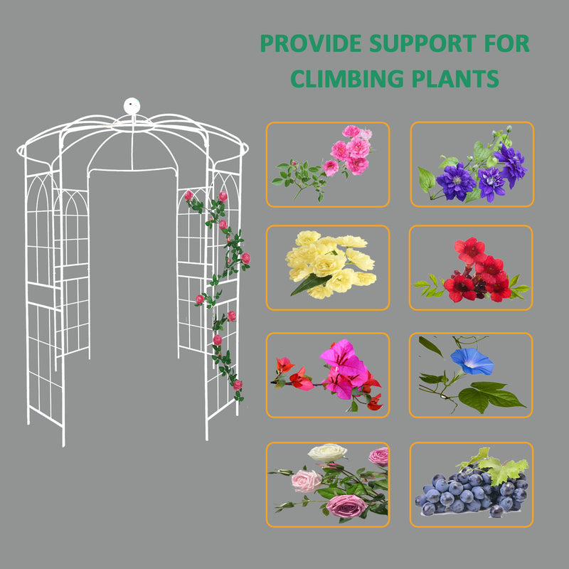 Metal Garden Arch Iron Garden Arbors Gazebo Dia High Birdcage Shape Pergola Pavilion For Wedding Ceremony