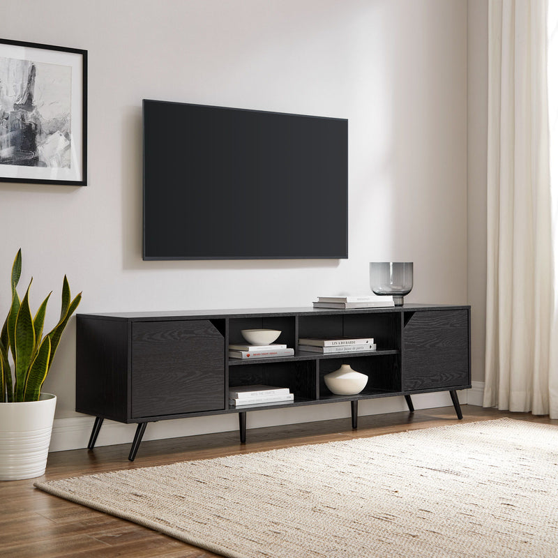 Contemporary 2 Door Minimalist TV Stand