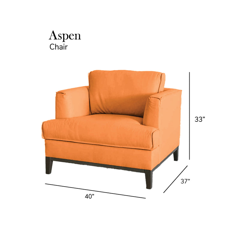 Aspen - Top Grain Leather Chair