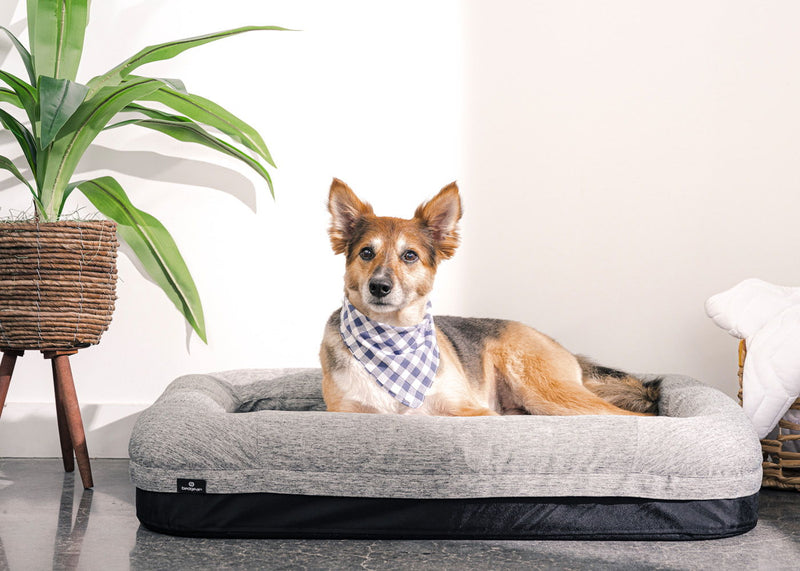 Performance - Small Dog Bed - Gray