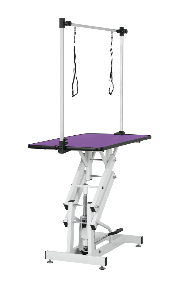 Hydraulic Pet Grooming Table With "H" Arm