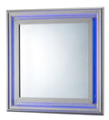 Elegant Transitional LED Mirror